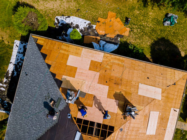 Best Storm Damage Roof Repair  in Greentown, IN